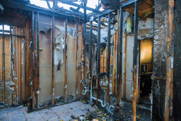 Professional Structural Rebuild technician working in Denton, MD